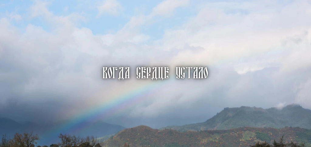 Раздел Утешение