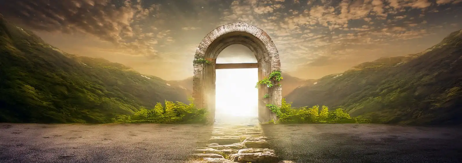 Жизнь и Смерть