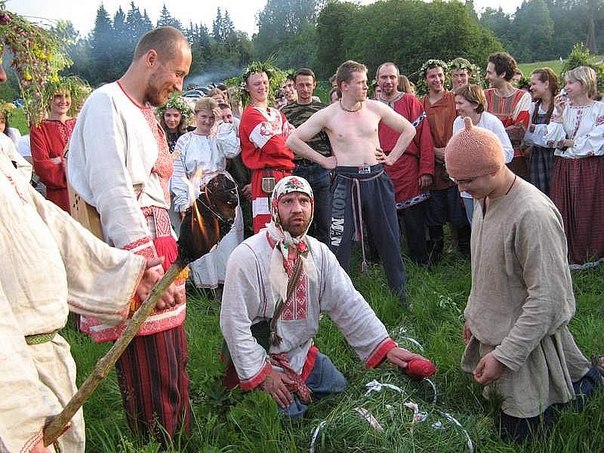 Описание