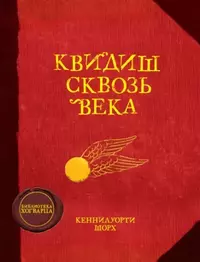 Квиддитч сквозь века